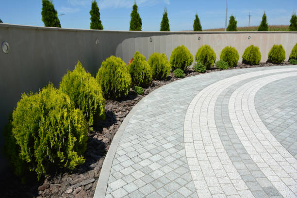 Best Driveway Paving Contractor  in Albertson, NY